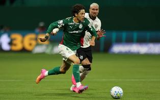 Palmeiras perde pela segunda vez no Brasileirão