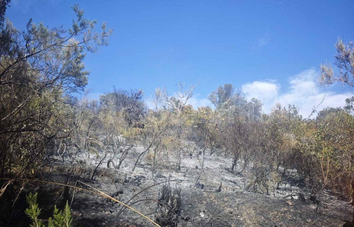 Incendio a Ispani: due ettari di macchia mediterranea distrutti