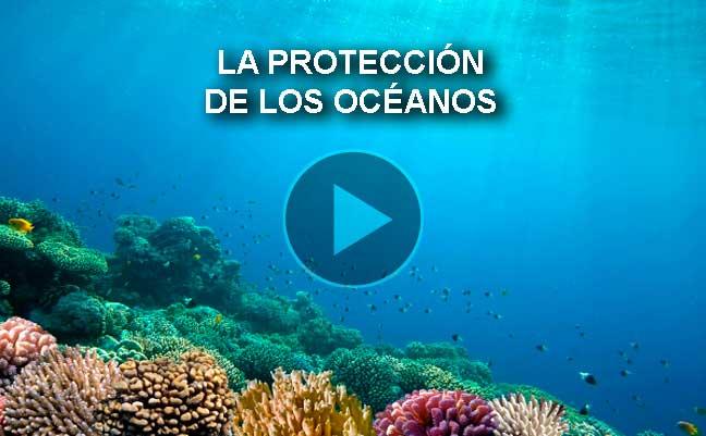 La protección de los océanos