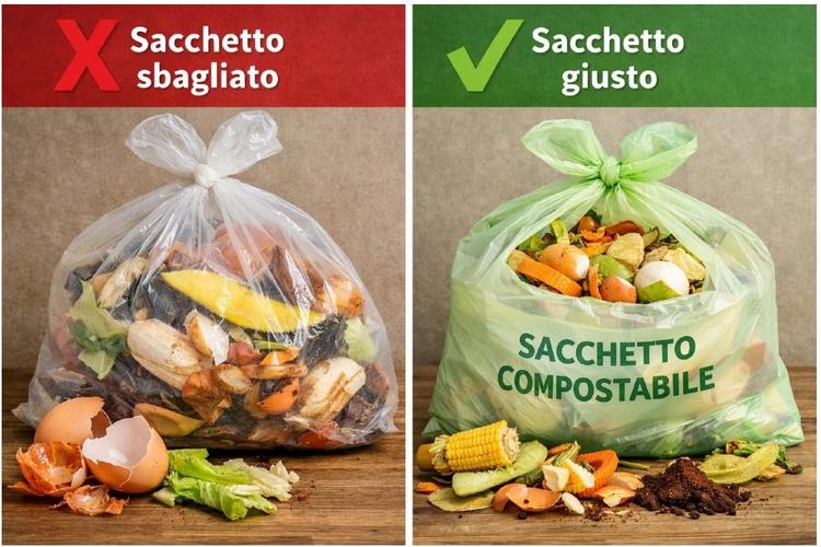 🍎 Attenzione ai sacchetti dell’umido!
