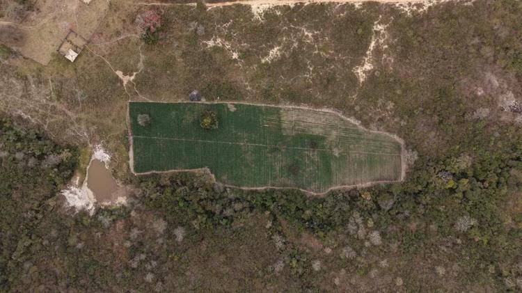 Pai que matou esposa e filho e milionário no Norte de MG: veja as notícias mais lidas da semana