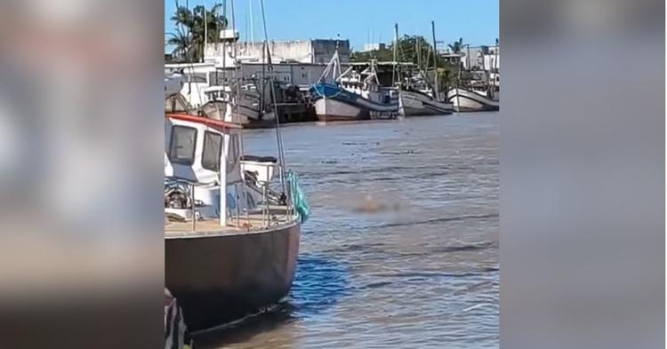 Corpo é encontrado boiando em rio no bairro Machados, em Navegantes