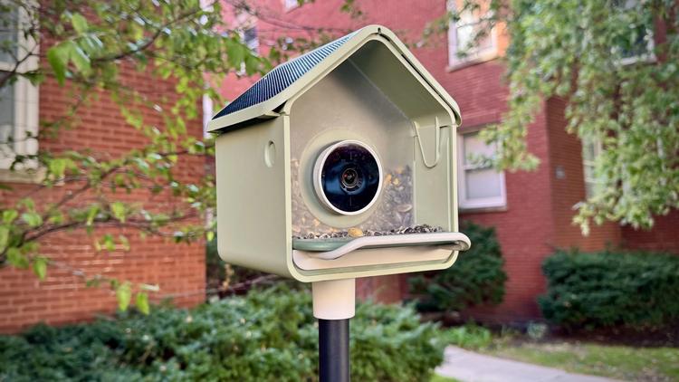 the birdbuddy nook
