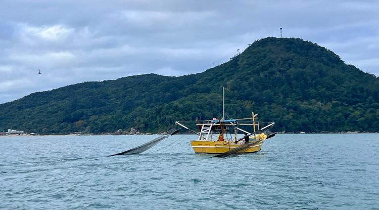 Festival do Pescador do Bom Sucesso terá tradicional arrasto de camarão em Balneário Camboriú
