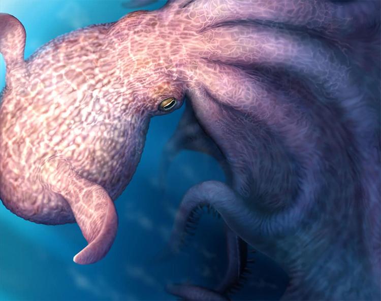 Mythos Kraken: Riesenkraken beherrschten vor 100 Millionen Jahren die Meere