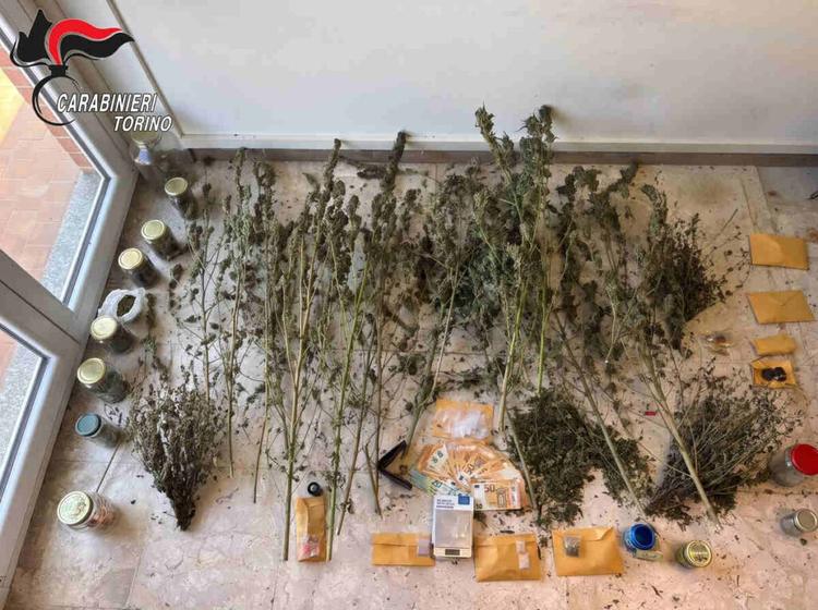 coassolo droga