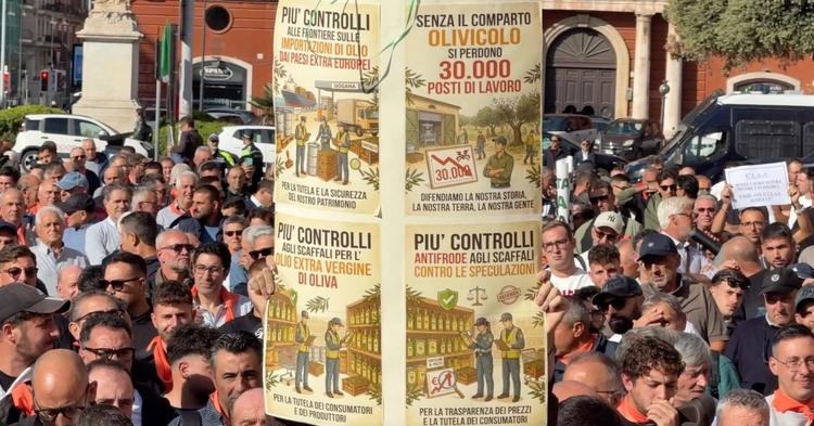 Olio italiano, allarme tracciabilità: “La Spagna è già avanti”