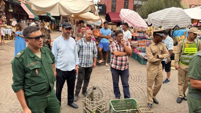 بيع سلحفاة لسائح بـ600 درهم يستنفر السلطات بمراكش