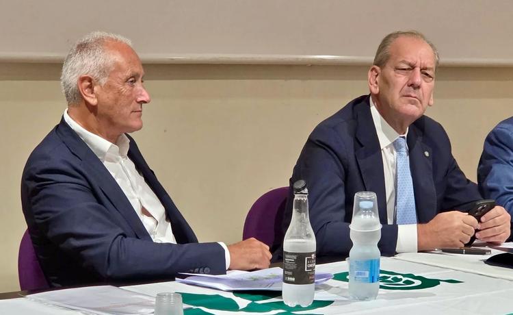 Vino pugliese sotto pressione, le cantine: “Non possiamo navigare a vista”