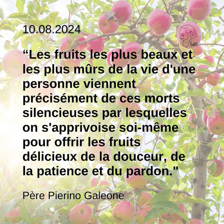 10.08.24
“Les fruits les plus beaux et les plus mûrs de la vie d'une personne viennent précisément de ces morts silencieuses par lesquelles on s'apprivoise soi-même pour offrir les fruits délicieux de la douceur, de la patience et du pardon."

Père Pierino Galeone