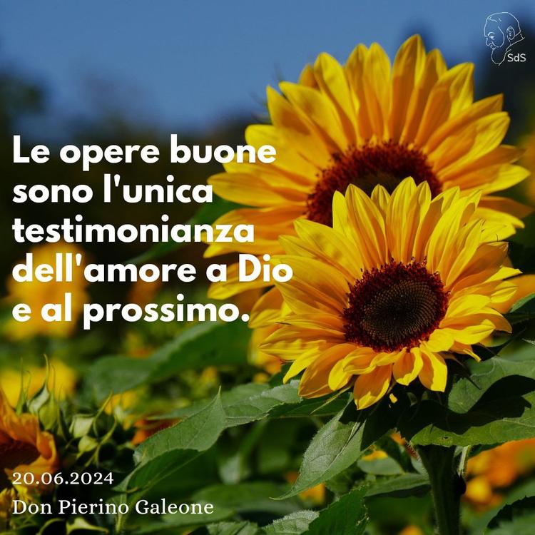 20.06.24
Le opere buone sono l'unica testimonianza dell'amore a Dio e al prossimo.

Don Pierino Galeone