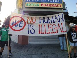 Ice, la caccia ai migranti arriva negli aeroporti Usa: la Chiesa in prima linea