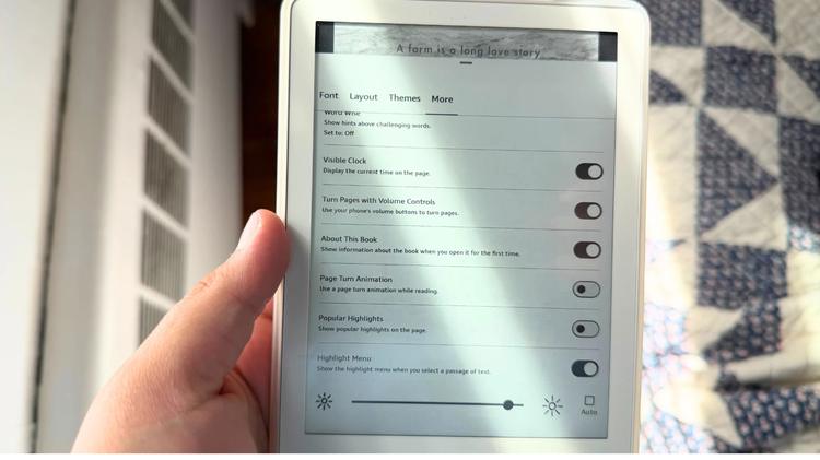The More settings in the Kindle App
