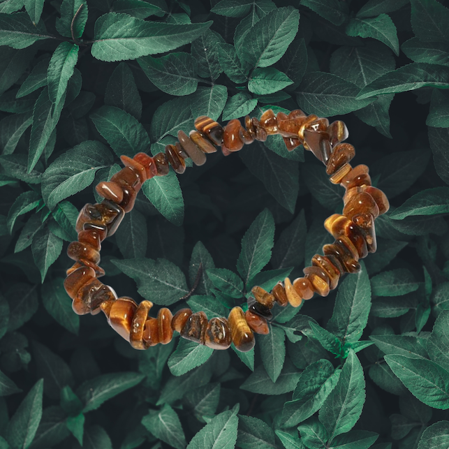 Tiger’s Eye crystal to help you step into your authentic self at the new moon in Leo