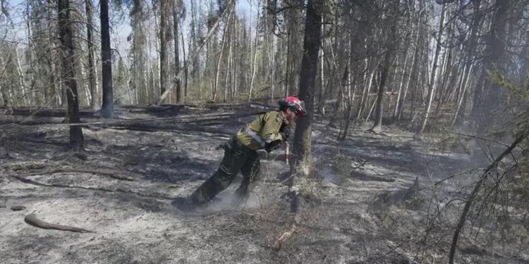 Canada, almeno 7 morti nel tragico incendio in una base militare. Il ministro della Difesa "L'incidente peggiore degli ultimi tempi"
