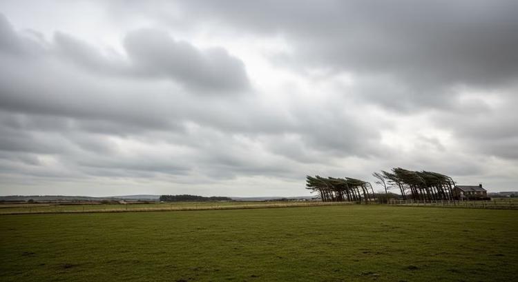 Inmet emite aviso de perigo para acumulado de chuva e ventos de até 100 km/h em SC; veja regiões