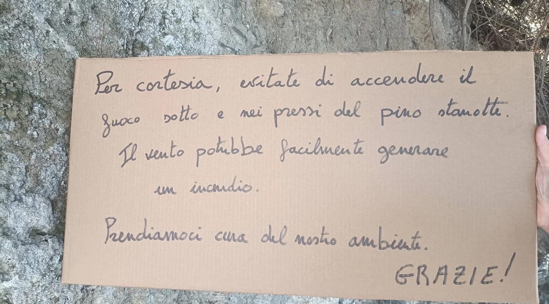 Pioppi, l’appello ai giovani per salvare un maestoso pino: «non accendete qui il falò»