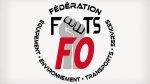 Plannings instables, deuxième conflit en un mois&nbsp;: la FEETS-FO soutient les PNC de French bee
