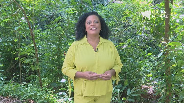 Vídeos do g1 e TV Bahia - domingo, 20 de setembro de 2026