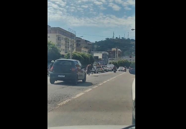 VÍDEO: Cavalo solto causa apreensão em avenida movimentada de Itaperuna