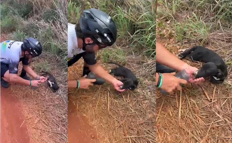 VÍDEO: Ciclista de MG dá água a cachorro abandonado sob calor de 37°C e pedala 5 km com ele no colo para encontrar novo tutor