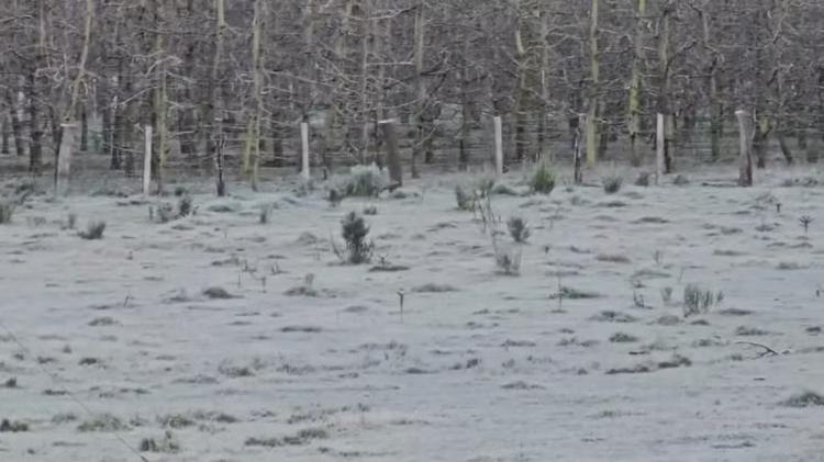 Massa de ar frio congela paisagem em SC e termômetros chegam a -7,7 °C; VÍDEO