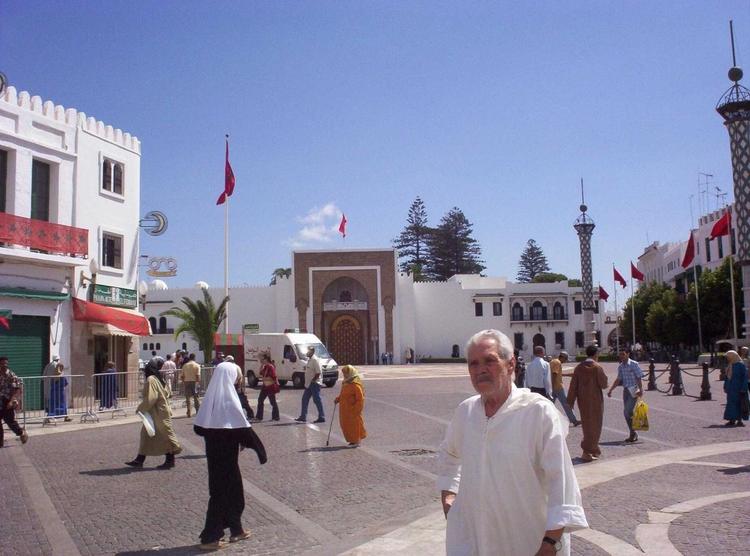 Articlophile — Revue de presse · Éd. 80 : Fête du Trône, Sahara et médicaments