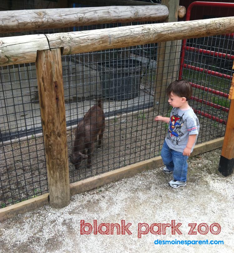 Blank Park Zoo – A Guide to Taking Young Kids