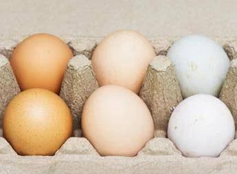 Uova bianche o marroni, quali sono migliori? Ecco cosa dice la scienza