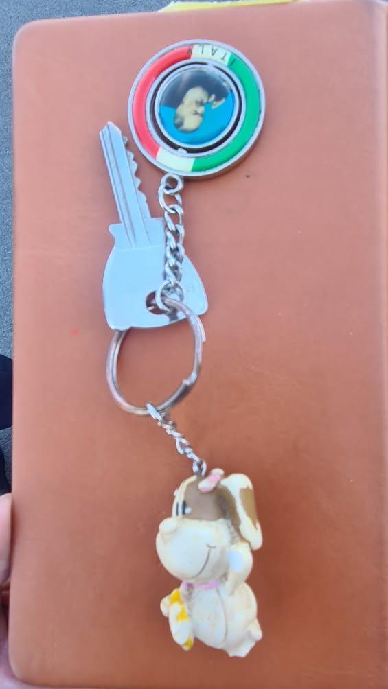 Comunichiamo che è stata trovata una chiave. Chi la riconosce può ritirarla presso il Comando di Polizia Locale sito in...