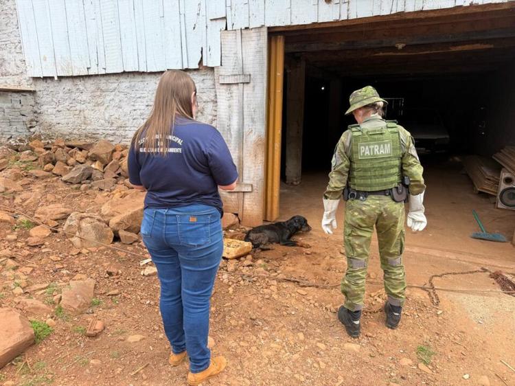 Resgate de cão vítima de maus-tratos em Erval Seco
