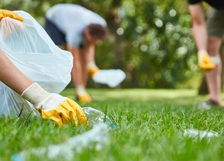 05 de Junho: Dia Mundial do Meio Ambiente