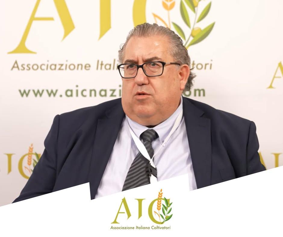 Salerno, nasce AIC Pesca: tutela del Made in Italy e filiera ittica