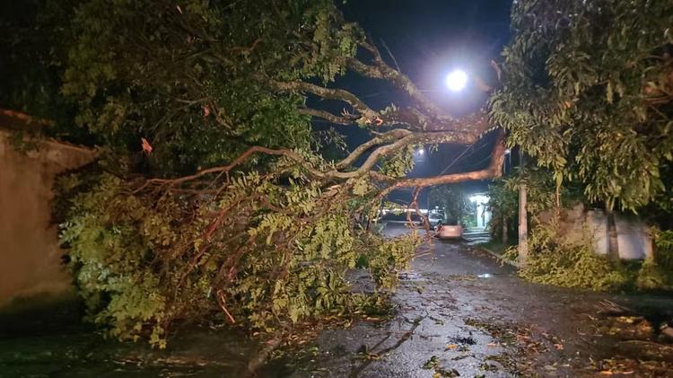 Temporal com rajadas de vento de 76 km/h derruba árvores e deixa moradores desalojados em Resende
