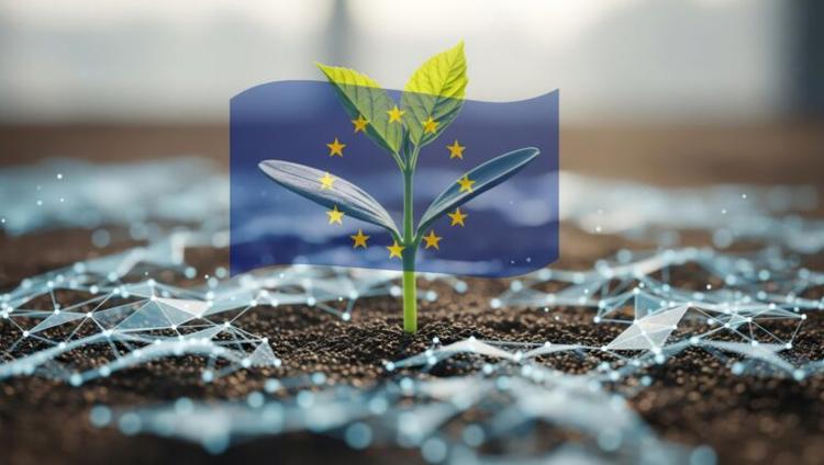 Seed Sector 2045: Is Europe Competitive for Plant Breeding Innovation?