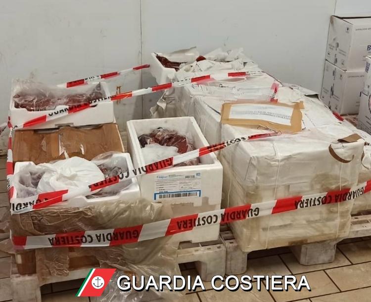 Milazzo, Guardia Costiera sequestra 180 chili di totano provenienti dalle Eolie privi di tracciabilità