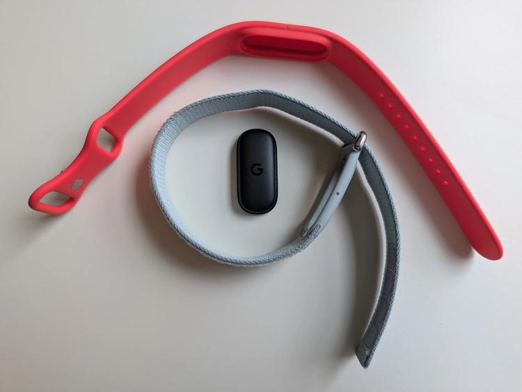 the google fitbit air with two bands and the fitness tracker itself