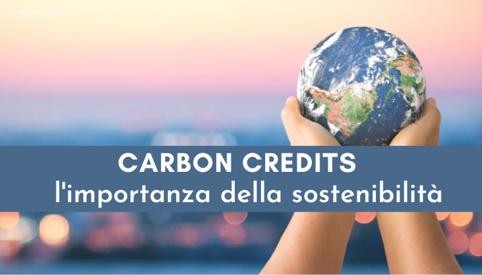 Carbon Credits: l’importanza della sostenibilità