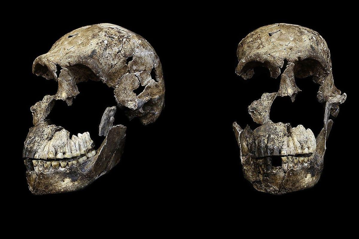 Homo naledi: Ausgestorbene Menschenart bestattete nur Frauen