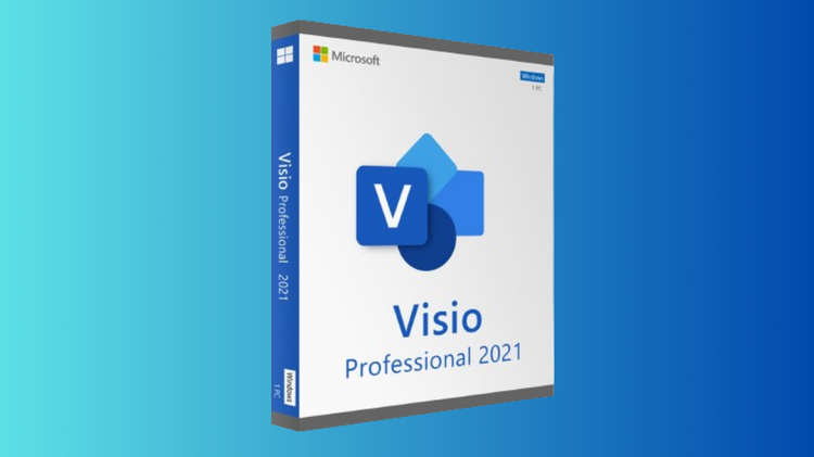 Create useful data visuals with Microsoft Visio Pro 2021 for $19.97