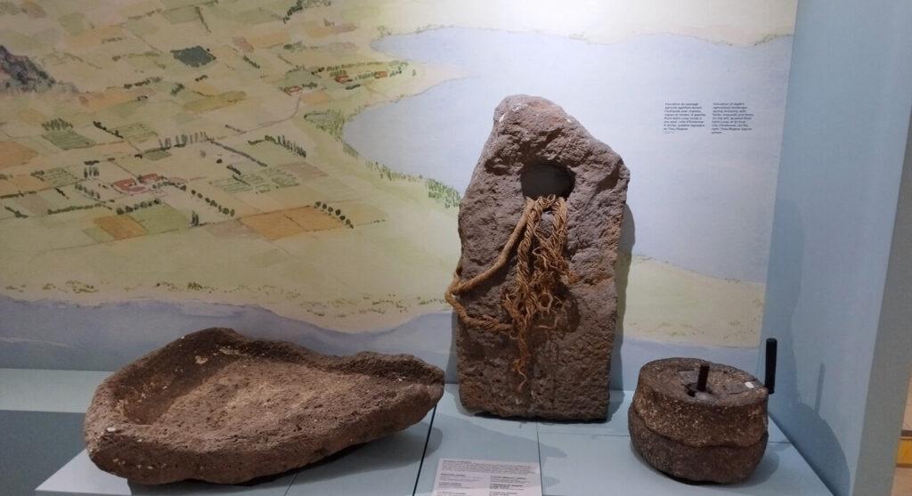 Cap d’Agde. Musée de l’Éphèbe : découvrez 20 000 ans d’évolution du paysage littoral