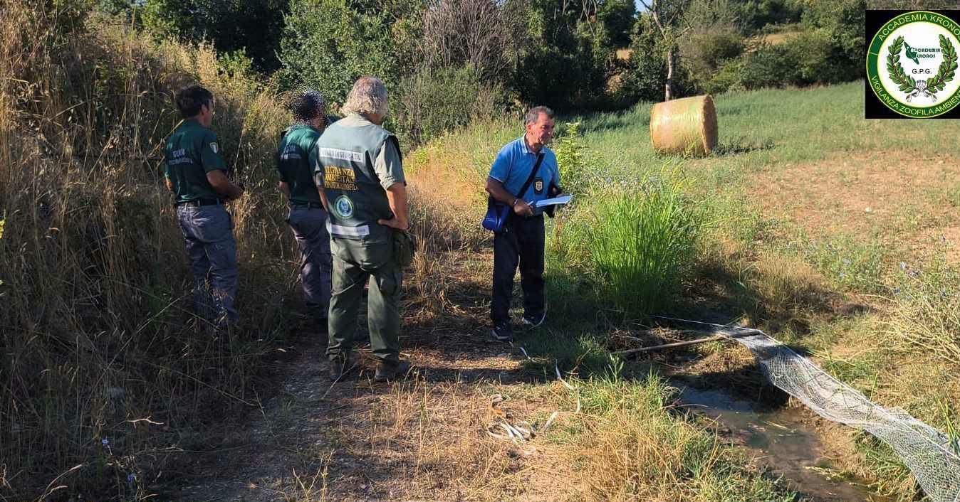 Bracconaggio a Capaccio Paestum: scoperto con trappole per cardellini, denunciato