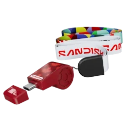 128GB Sandisk USB-C flash drive