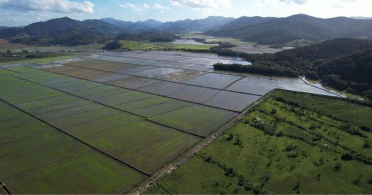 Parque Inundável do rio Camboriú tem edital de R$ 95,2 milhões lançado; propostas podem ser apresentadas até outubro&nbsp;