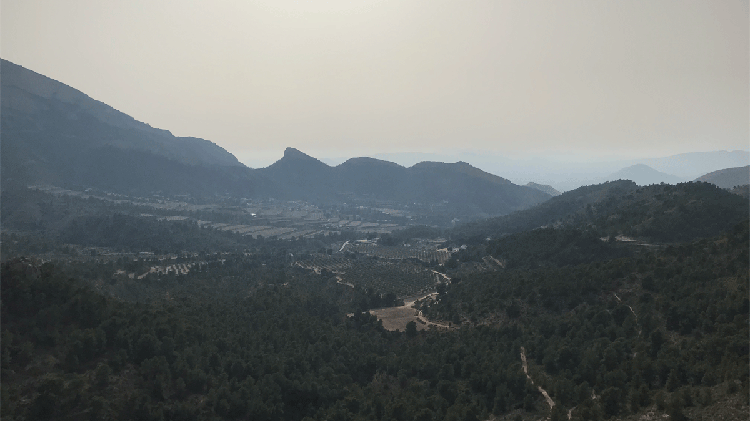 #Petrer reclama la construcción urgente de tres balsas estratégicas contra incendios