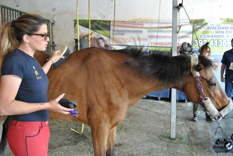 Seconda Edizione Horse Therapy