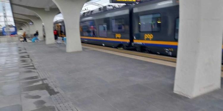 Calabria, più treni e autobus per l’estate 2026: la Regione approva il piano per turismo ed eventi