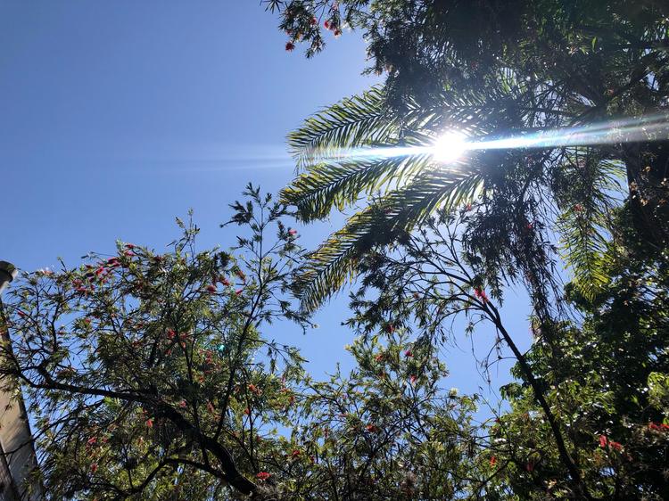 Campinas registra dia mais quente de 2026 com 34,3°C; temporais e frente fria devem mudar o tempo
