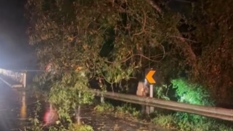 Motociclista morre após ser atingido por árvore durante temporal no RS