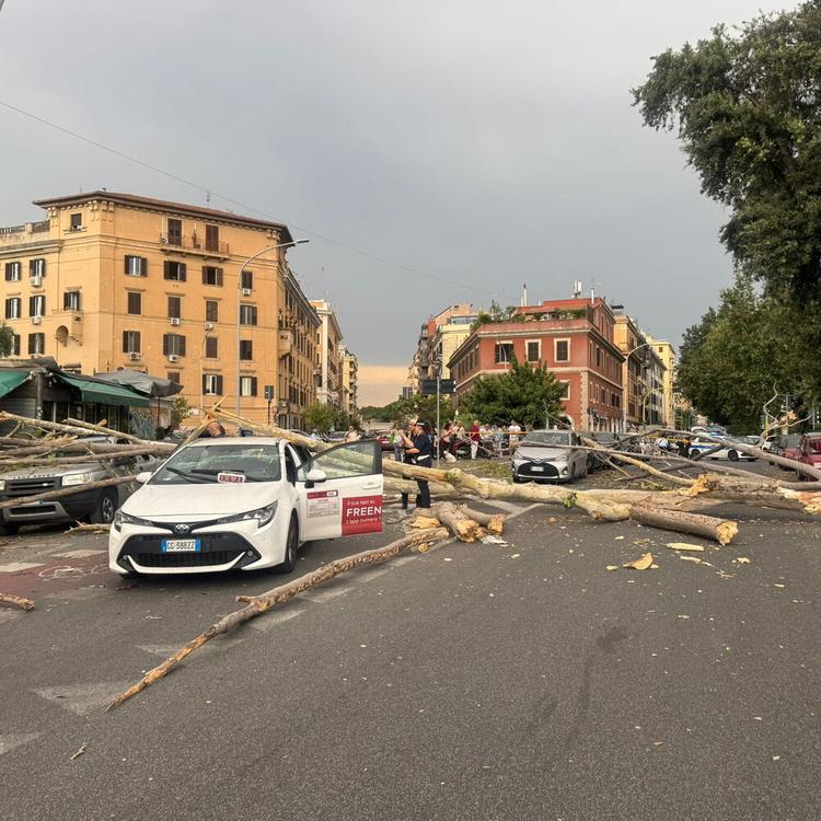Albero cade a Roma e colpisce taxi in corsa, nessun ferito (FOTO)